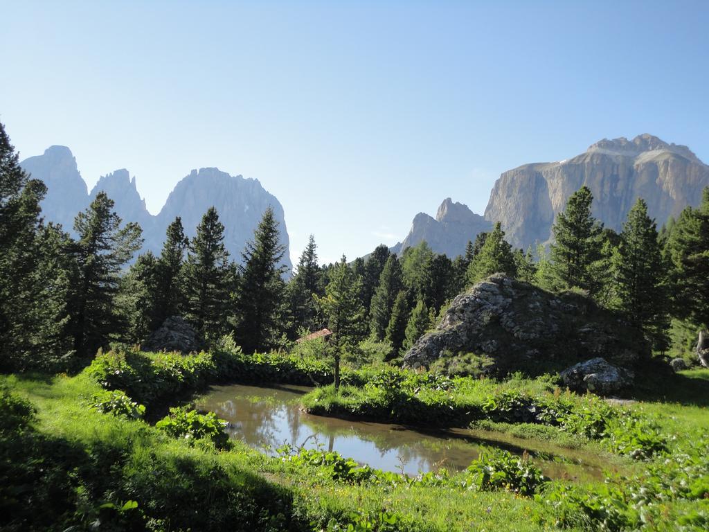 Sella Ronda Apartment Campitello di Fassa Zewnętrze zdjęcie