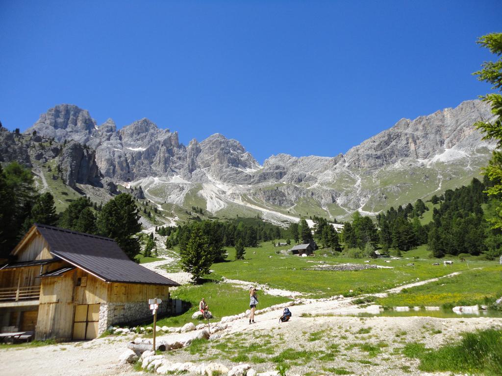 Sella Ronda Apartment Campitello di Fassa Zewnętrze zdjęcie