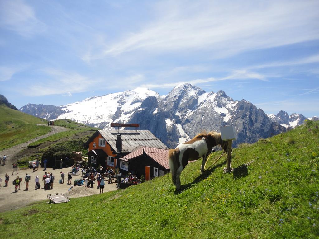 Sella Ronda Apartment Campitello di Fassa Zewnętrze zdjęcie