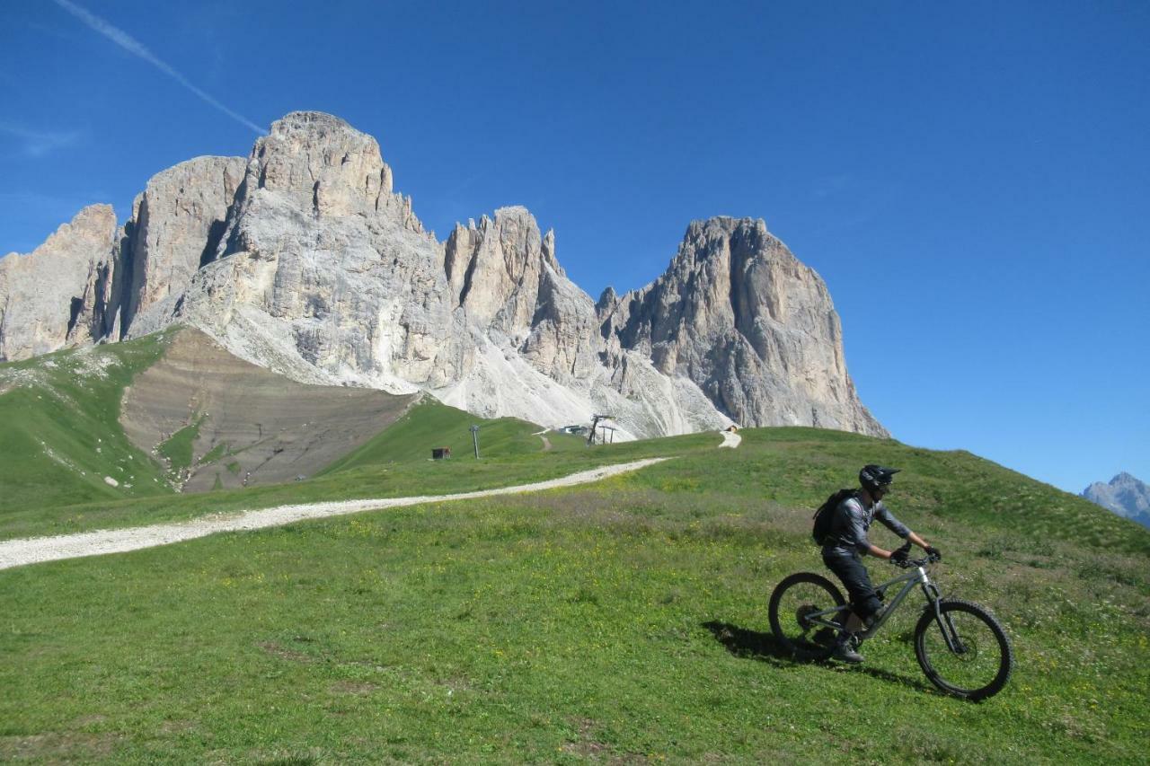 Sella Ronda Apartment Campitello di Fassa Zewnętrze zdjęcie