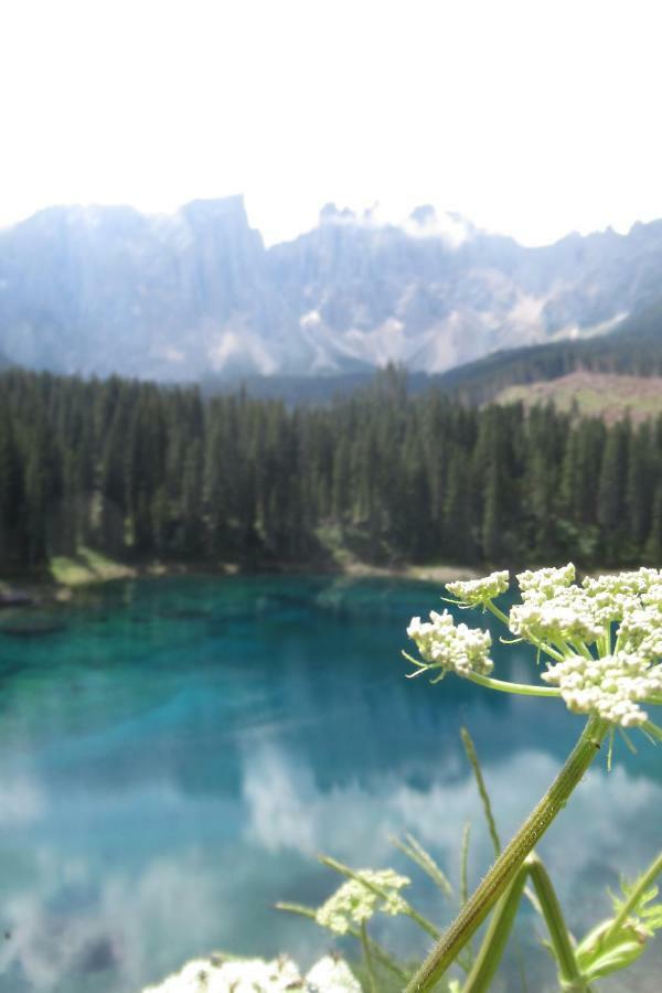 Sella Ronda Apartment Campitello di Fassa Zewnętrze zdjęcie